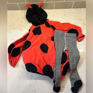 Ladybug Costume